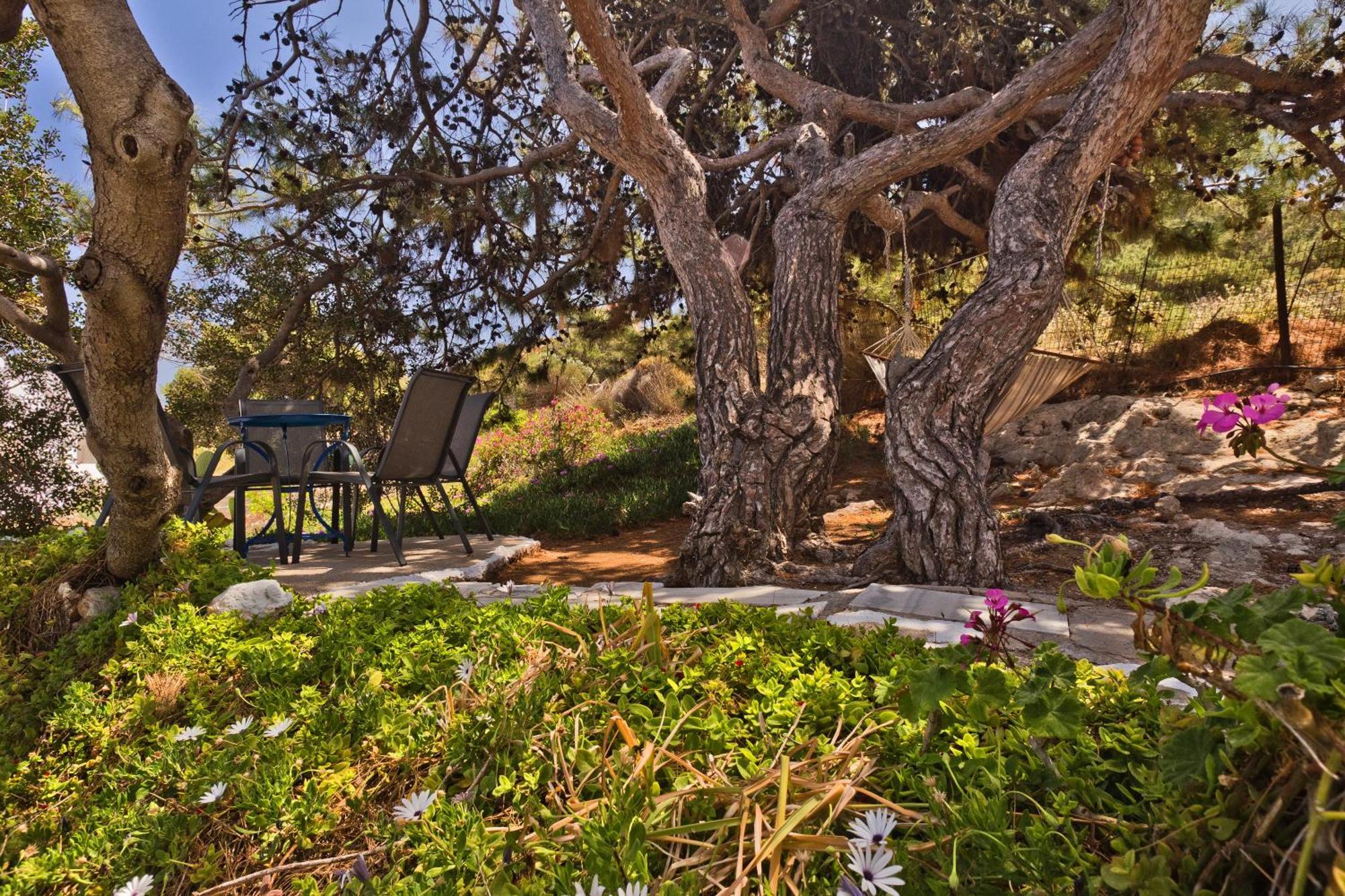 Aparthotel Chc Sound Of The Sea Karpathos Esterno foto