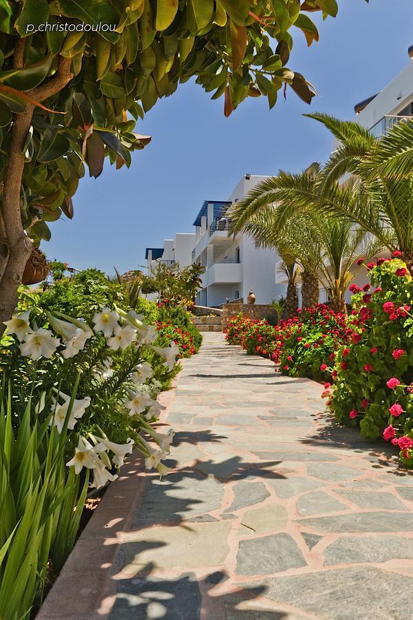 Aparthotel Chc Sound Of The Sea Karpathos Esterno foto